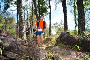 BIB: 
                            <button type="button" onclick="openModal(18916388)" class="btn btn-primary btn-sm float-right btn-popup" data-toggle="modal" data-target=".modal-high-quality">
                        <i class="fas fa-shopping-cart"></i> Add to Cart
                    </button>
                                            <button type="button" onclick="isThisMe(18916388, true)" class="btn btn-success btn-sm float-right btn-popup btn-isme hidden" data-toggle="tooltip" data-placement="bottom" title="นี่คือรูปของคุณใช่ไหม คลิกที่นี่เพื่อเอาเข้าอัลบั้ม">
                        <i class="fas fa-plus"></i> Add to album
                    </button>
                    <button type="button" onclick="isThisMe(18916388, false)" class="btn btn-warning btn-sm float-right btn-popup btn-isnotme hidden">
                        <i class="fas fa-ban"></i> Remove from album
                    </button>